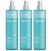 REVLON PROFESSIONAL Equave Instant Beauty Instant Love Hydro Detangling Conditioner,
