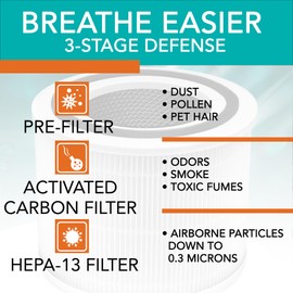 PUREVOLVE Filter Replacement for H250 HEPA-13 Air Purifier | 1-Pack