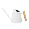 Watering Can with Long Spout Rustproof Stainless Steel Watering Pot