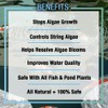 MICROBE-LIFT ALGAGAL Algaway 5.4 Algae Control Treatment for Ponds and