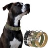 JSXD Tactical Dog Collar,Military Grade Nylon with Soft Padded Lining,1.5