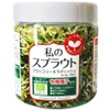 Green Field B006 Sprout Cultivation Set My Sprout (Bean Sprout