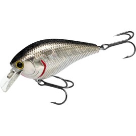 LUCKY CRAFT LC 2.5 Silent Squarebill Crankbait Fishing Lure, 2-3/4", Bass Fishing Lures for Freshwater, Hard Crankbait with Treble Fishing Hooks, Fishing Accessories, 419 BP Golden Shiner