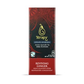 TERAPY AYURVEDIC TEA by Terapy Ceylon | All Natural Herbal Ingredients | USDA Organic | Eco-friendly Unbleached Organic Tea Bags (Reviving Ginger)