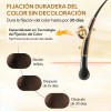 Kaisasa Shampoo Con Tinte Cubre Canas Natural Jengibre