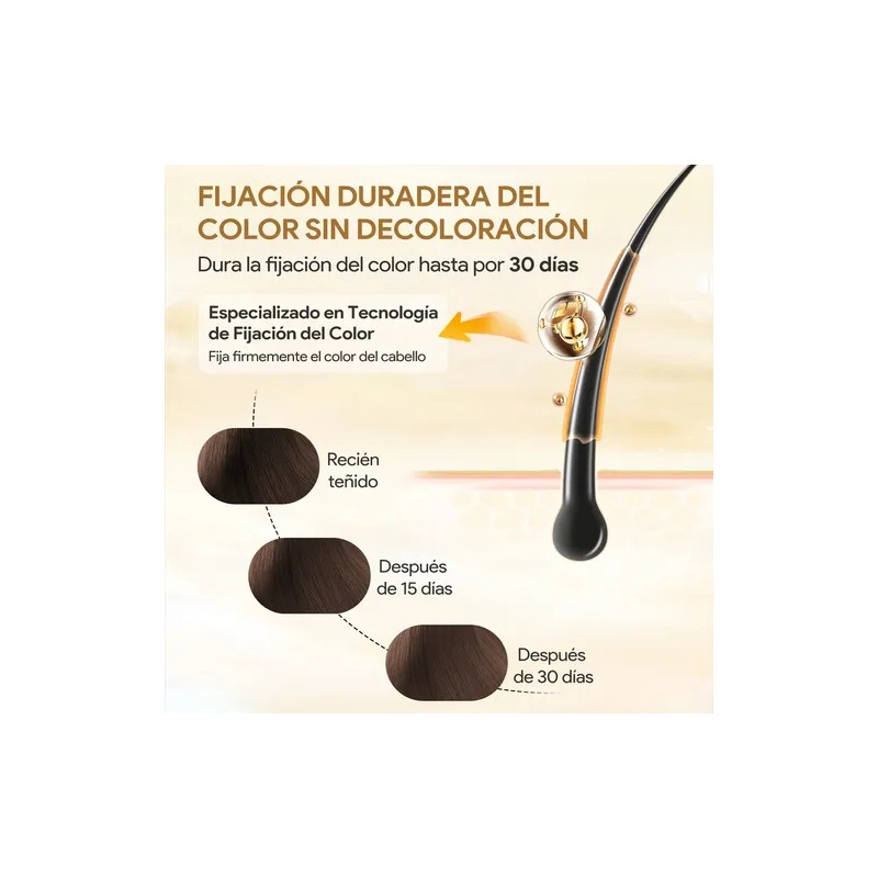 Kaisasa Shampoo Con Tinte Cubre Canas Natural Jengibre