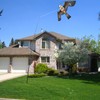Flerigh Bird Hawk Flying Kite with Pole Crops Farm Protector