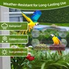 Window Bird Feeder with Strong Suction Cups - Clear Acrylic