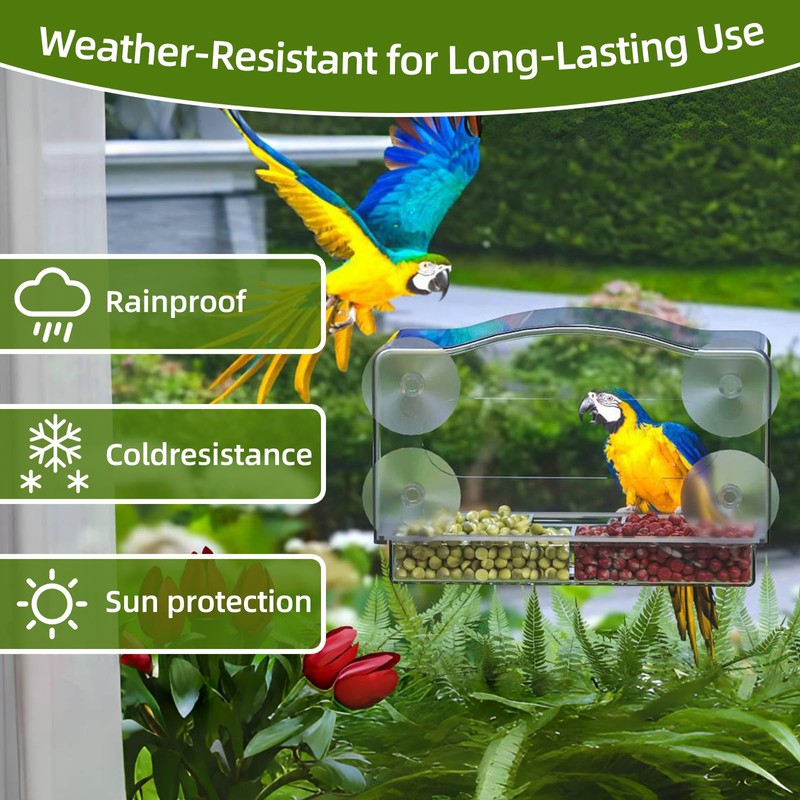 Window Bird Feeder with Strong Suction Cups - Clear Acrylic