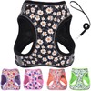 XXS Dog Harness and Leash Set, Step in Dog Harness