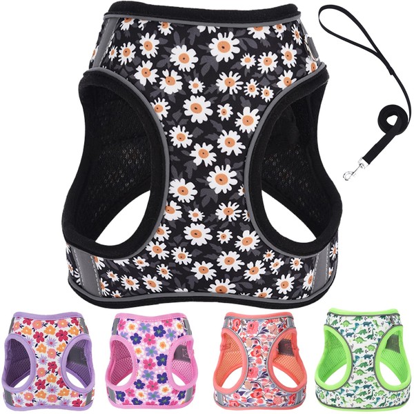 XXS Dog Harness and Leash Set, Step in Dog Harness