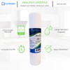 Flotronix Compatible to EQ-304 Replacment 2.5x10 Sediment Pre-Filters for Whole