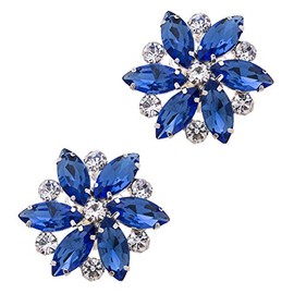 Ruihfas Fashion Bridal Wedding Party Shoe Clips Rhinestone Shoe Buckle Multi Color, 2Pcs (Blue)