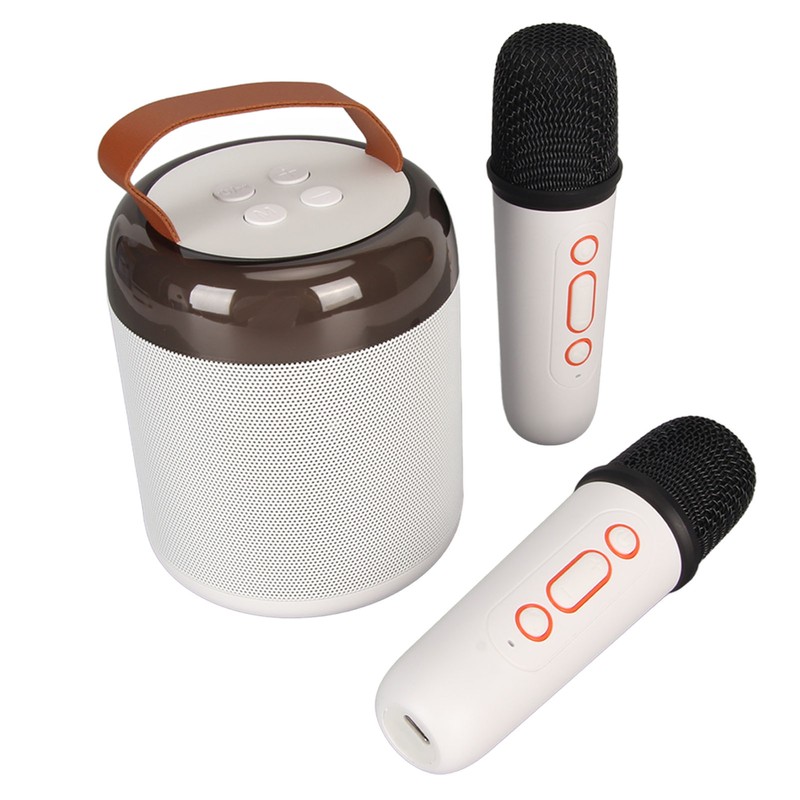 Wireless Karaoke Speakers RGB Light Bluetooth5.3 Speaker with 2 Wireless