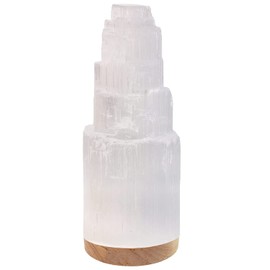 SALT 84 Selenite Crystal Lamp, 25 cm Tall, Wooden Base Skyscraper Lamp with & USB Charging Cable, ETL Certified, Hand Curved Selenite Crystal for Spiritual Protection and Therapy