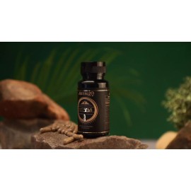 Shilajit Himalayan Exp 2027 Pure 100% USA 2 Box 180 caps Organic Immunity Shield