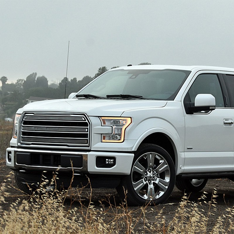 PIT66 Front Bumper Lower Grille, Compatible with 2015-2017 Ford F150,