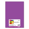 Nagatoya Shoten Crayon Color A4 Murasaki, 20 Sheets Na-CR009