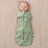 ErgoPouch Cocoon Swaddle Sleeping Bag 1.0 Tog - Willow, 0000