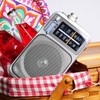 Panasonic RF-2400 AM/FM Radio, Silver
