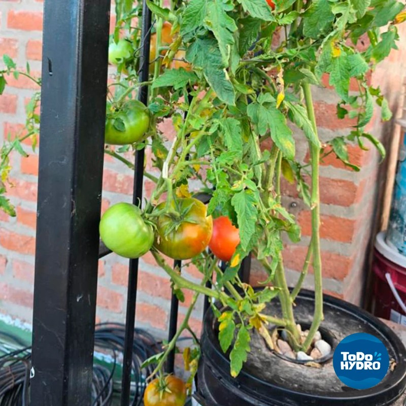 ToDo Hydro Grow Pot Initial 5gal DWC Hydro Bucket Kit