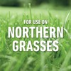 Roundup For Lawns₃ Ready-To-Spray - Tough Weed Killer for Use