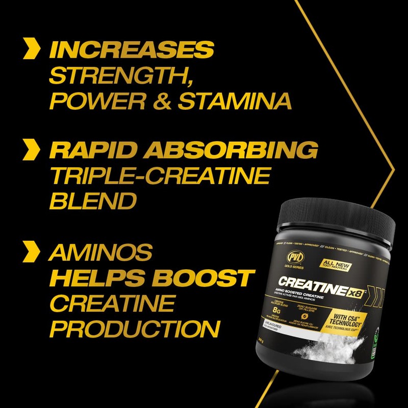 PVL PVL Creatine X8 - Advanced Creatine Multiplier - creatine