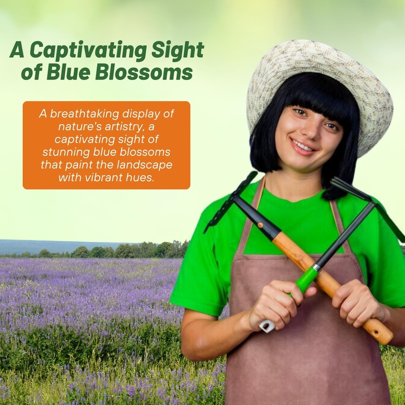 Outsidepride Blue Sage Salvia Farinacea Wild Flower Plant Seeds -