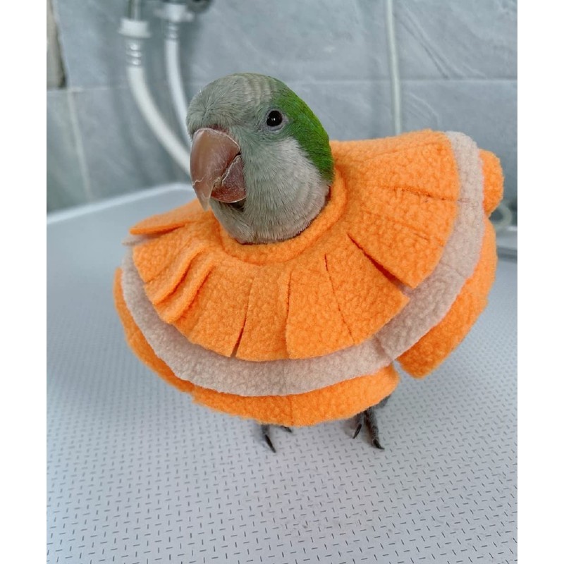 RRRIOT Adjustable Parrot Cone Collar, Safe and Practical Cotton Collar