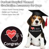 Nurse Dog Bandana 18x18x26 Inch Polyester Dog Graduation Bandana Medical