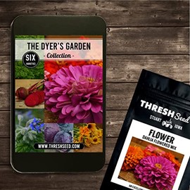 Thresh Seed Co., The Dyer's Garden Collection, 6 Individual Packets in a Giftable Tin, Gifts for Gardeners - Heirloom & Open-Pollinated Varieties, non-GMO Vegetable Seeds for Planting in a Home Garden