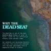 Dead Sea Magnesium – Fully Chelated, Lab-Tested | 60 Capsules