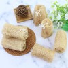 Esponjas de lufa de pepino de 10 cm, exfoliantes naturales