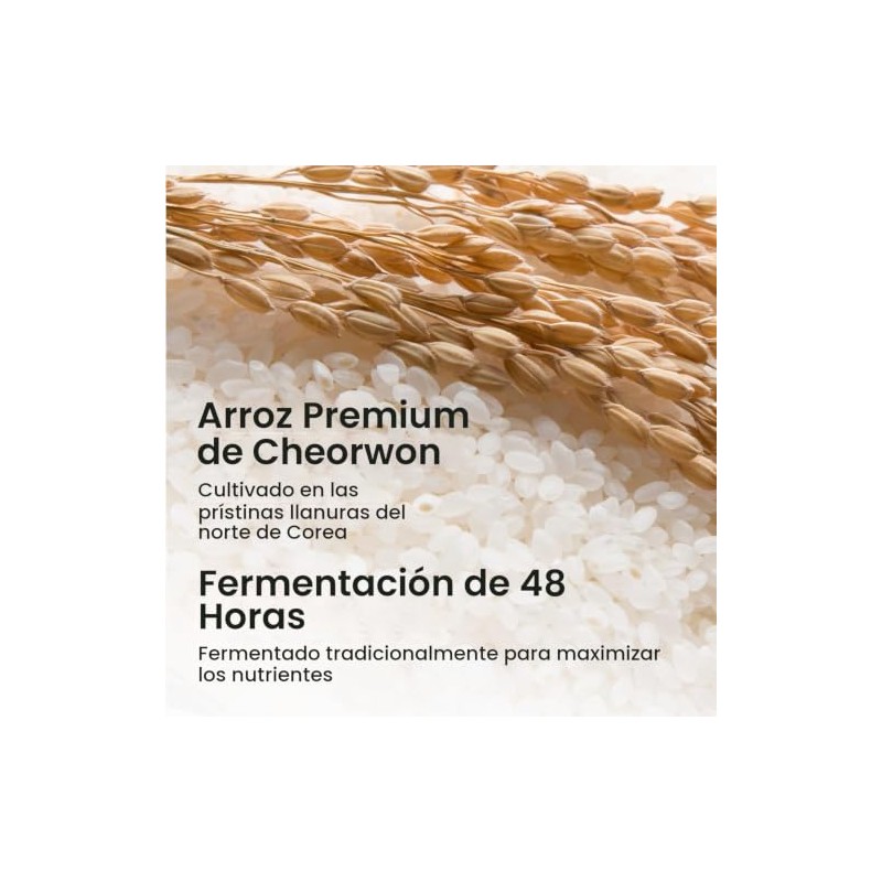 Skin Food Rice Daily Brightening Cleansing Foam 150ml Delicate With