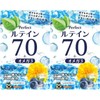 Vichyman Lutein Omega 3 Bilberry 60 Capsules (2) / 비시만 루테인 오메가3 빌베리 60캡슐 2개