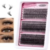 SIISTAS Individual Eyelashes Natural Lash Clusters Wispy Cluster Lashes D