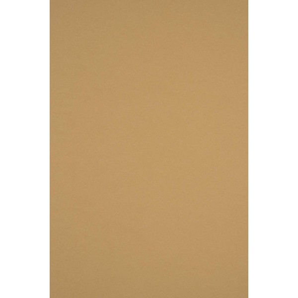 Netuno Sirio Color Bruno Coloured Cardboard, Light Brown, DIN A4,
