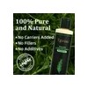 Tgideas Rosemary Hair Growth Shampoo Natural Thicke 8 Stre