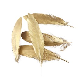 FEARAFTS Gold Feathers Natural Goose for Crafts Wedding Party Decoration 50 Pcs (Gold)