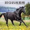 2025 Horses Wall Calendar