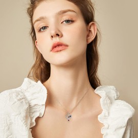 MEIDERBO January Birthstone Veterinary Stethoscope Necklace 925 Sterling Silver Nurse Vet Pendant with Dog Paw Nurse Jewelry Gifts for Veterinarian Nurse Women Veterinarian Gifts