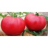 Giant Raspberry Malinowy Olbryzm Polish Tomato Premium Seeds for Planting