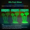 TEQStone Glow in The Dark PLA Filament 1.75mm Green, Consistent
