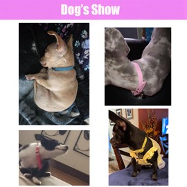 Pink Puppy Collar with Bell,XXS Dog Collar Girl, Bell Collar for Cats Faux Leather PU Adjustable for XXS Xs Small Pet Dogs Animal Kitten Litter Tiny Girls Boys Male Female,XXSmall