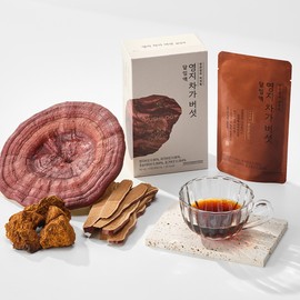 Korean Ginseng Corp. 정관장 영지 차가 버섯 달임액 90ml 30포 EJW Ginseng Youngji Chaga Mushroom Extract 90ml 30 Sachets