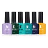 Mussa Gama De Gel Semipermanente Mussa® 6 Esmaltes Para Uñas