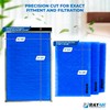 RAYAIR SUPPLY 18 7/8 x 21 1/2 Replacement Filter Pads