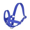 Headcollar for llamas, size 50, blue