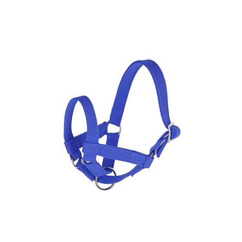Headcollar for llamas, size 50, blue