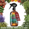 GARDENERA Professional Organic Liquid Kelp Spray for POTHOS Plants -